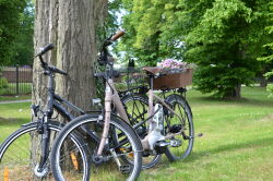 E-Bikes, Ebikes, Schlosspark, Rastede