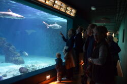 Aquarium, Wilhelmshaven