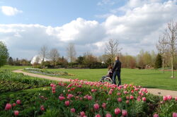 Park der Gärten, Rollstuhl, Bad Zwischenahn, barrierefrei, Blumen