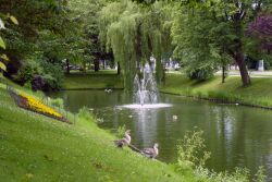 Schlosspark, Jever, Teich