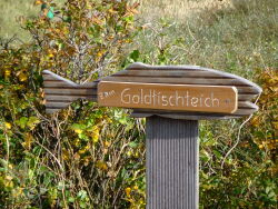 Goldfischteiche, Ostdorf, Juist