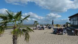 Strand, Dangast, Restaurant, Sonnendeck, Palmen, Beachclub