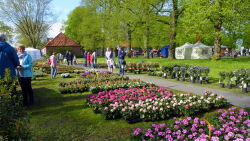 Frühling, Fest, Blumen, Dekoration, Evenburg, Leer