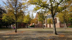 Herbst, Norden, Bäume, Kirche, Altstadt